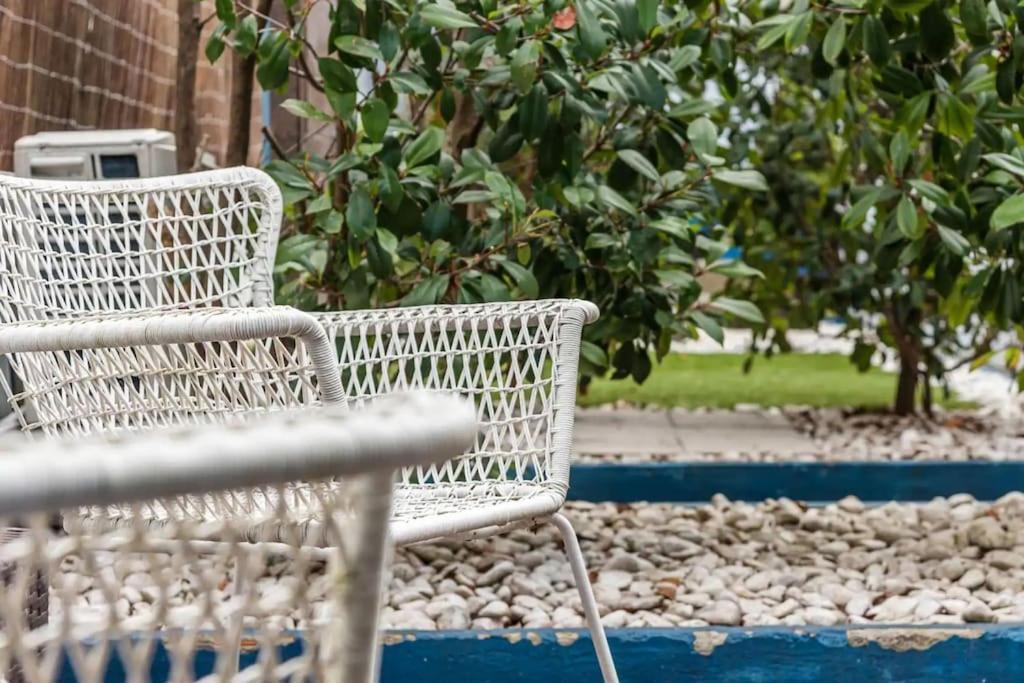 Inlapa Studio IV Porto Garden View Dış mekan fotoğraf